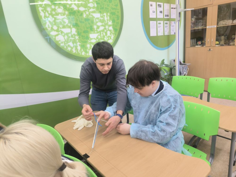 Профориентация. Хирургия..